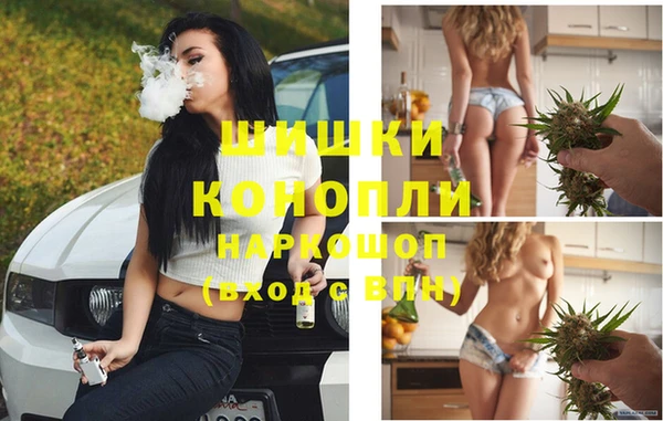 шишки Зерноград