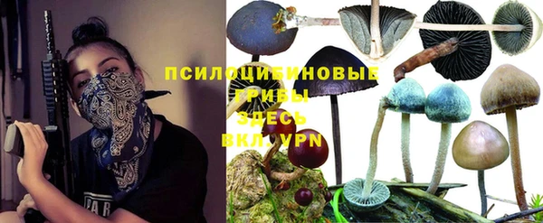 таблы Зеленодольск